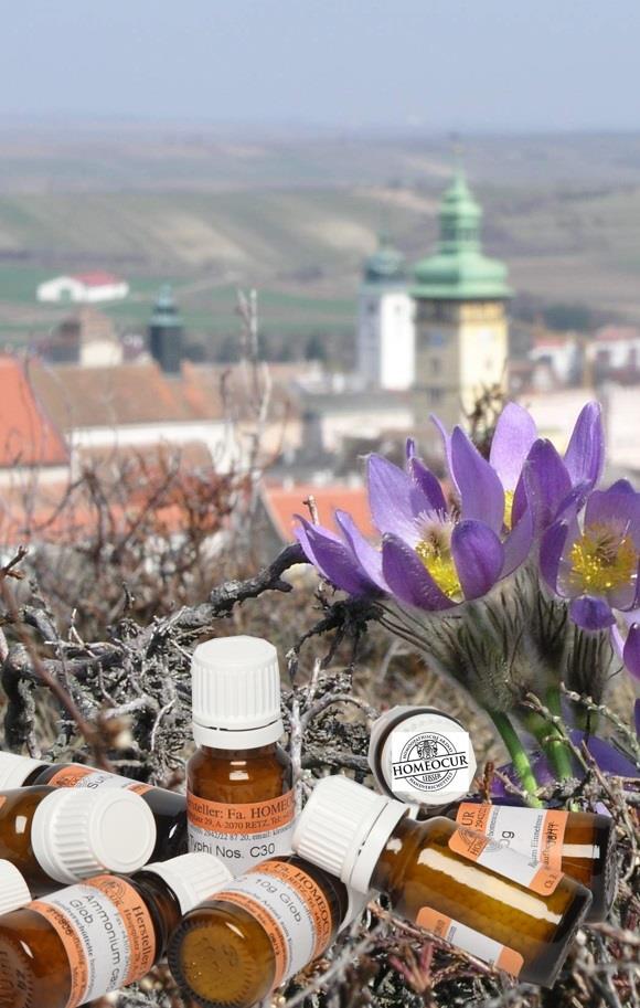 Homöopathie, Homeocur Globuli, Blume